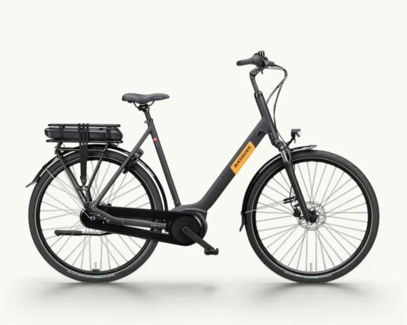 Batavus Altura E-go Smart BES3